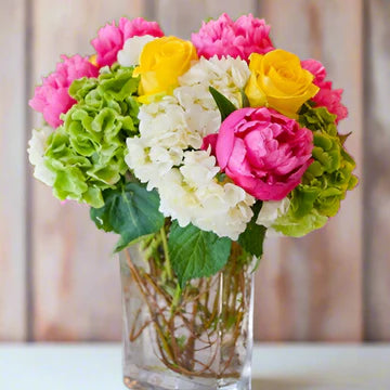 Colorful Peonies