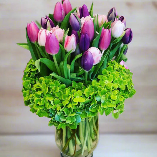 Posh Tulips